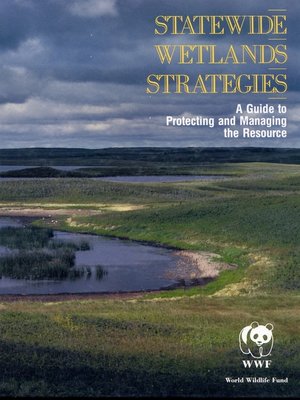 cover image of Statewide Wetlands Strategies